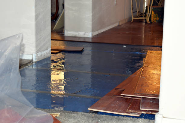 Professional Burst Pipe Cleanup technician working in Esmond, IL